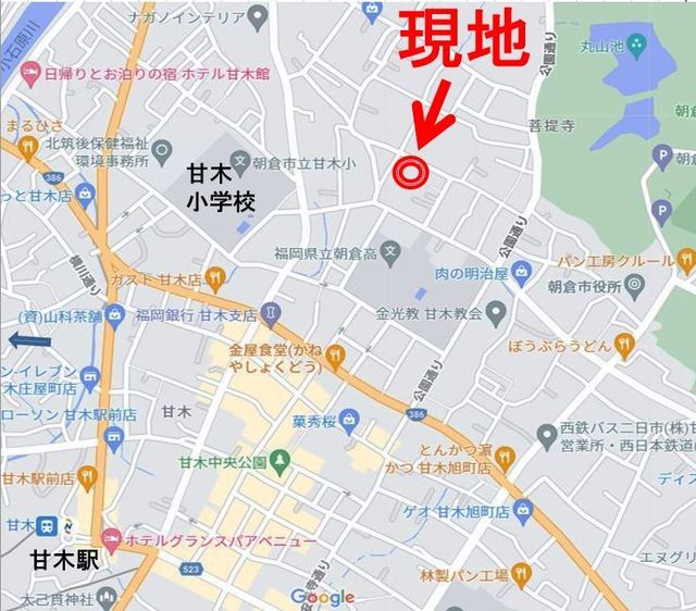画像12