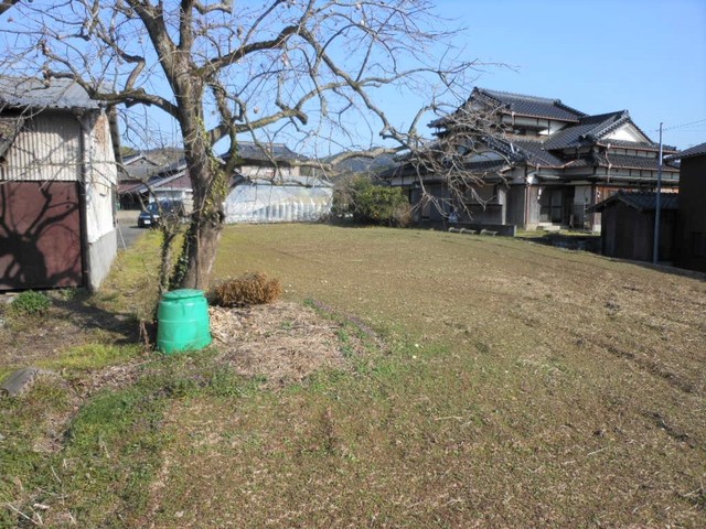 画像9