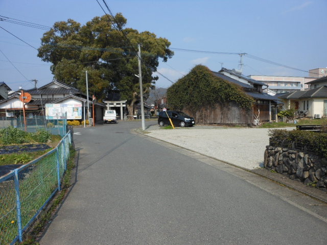 画像4
