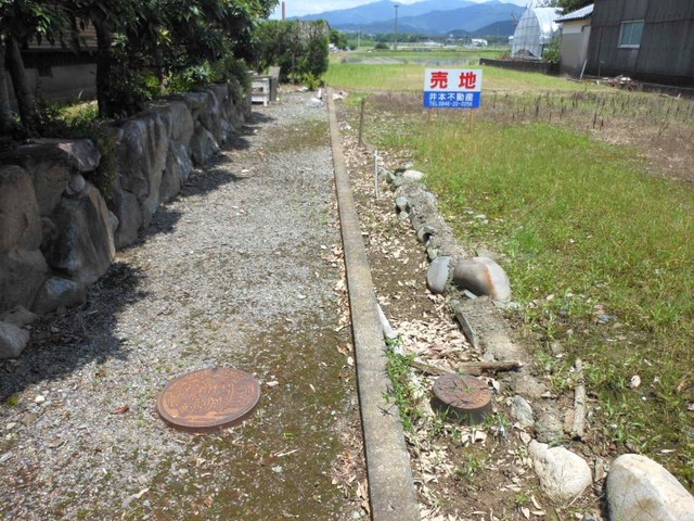 画像4