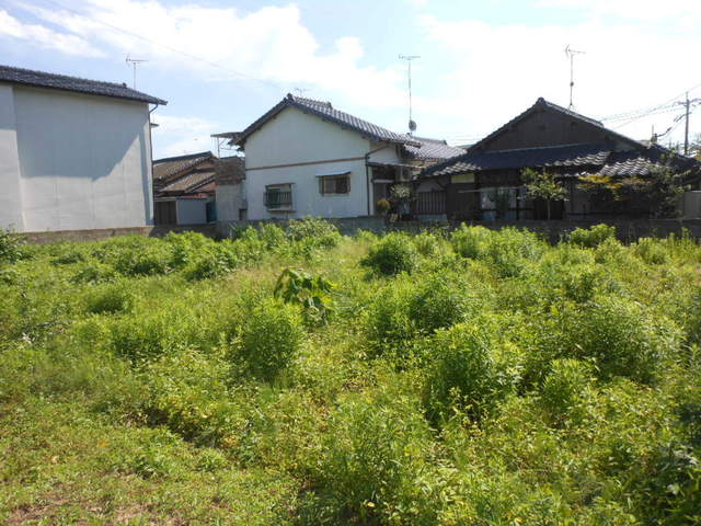 画像6