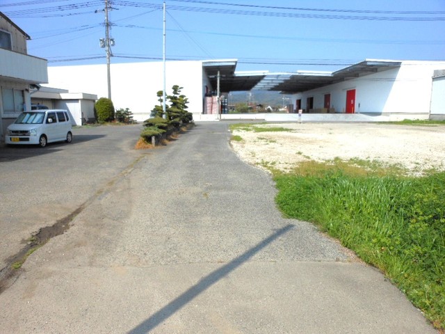 画像5