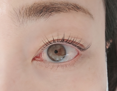 6月のキャンペーン【eyelash&eyebrow】1