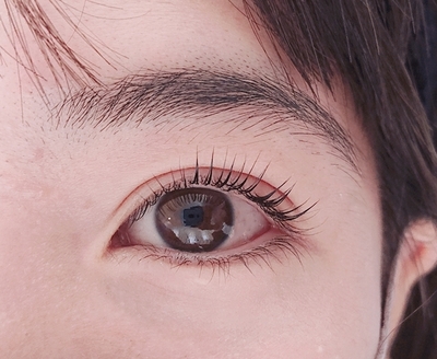 11月のキャンペーン【eyelash&eyebrow】3