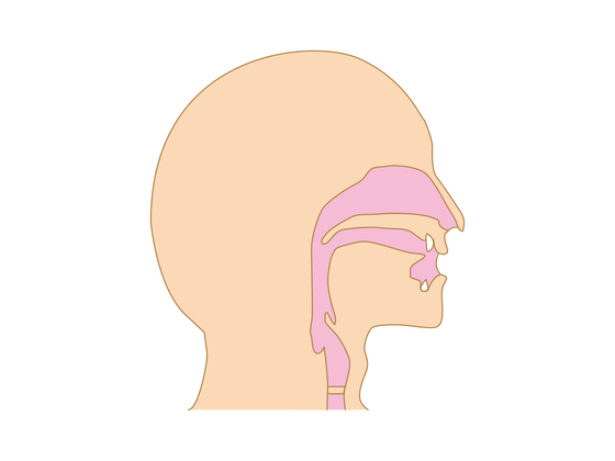 〇〇湯といった決まった後鼻漏の漢方薬はない