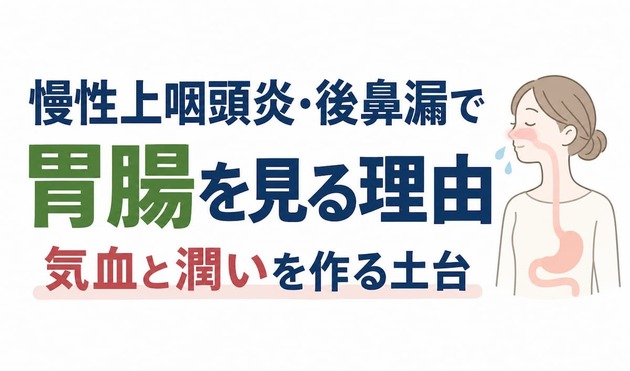 慢性上咽頭炎・後鼻漏で胃腸を見る理由｜気血と潤いを作る土台
