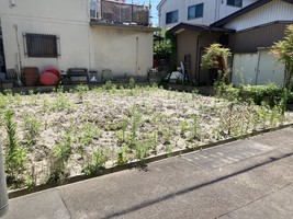 土地