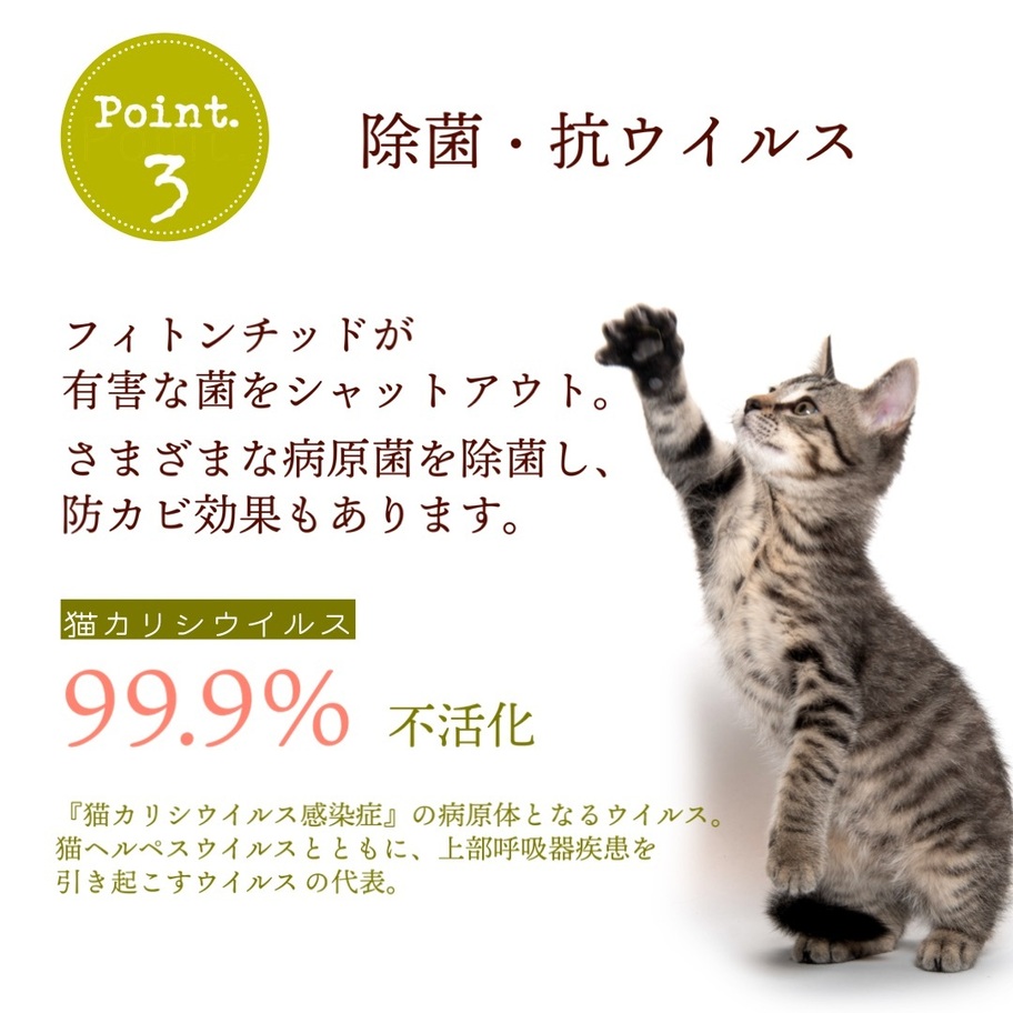 フィトンチッドスプレーフォーキャット4
